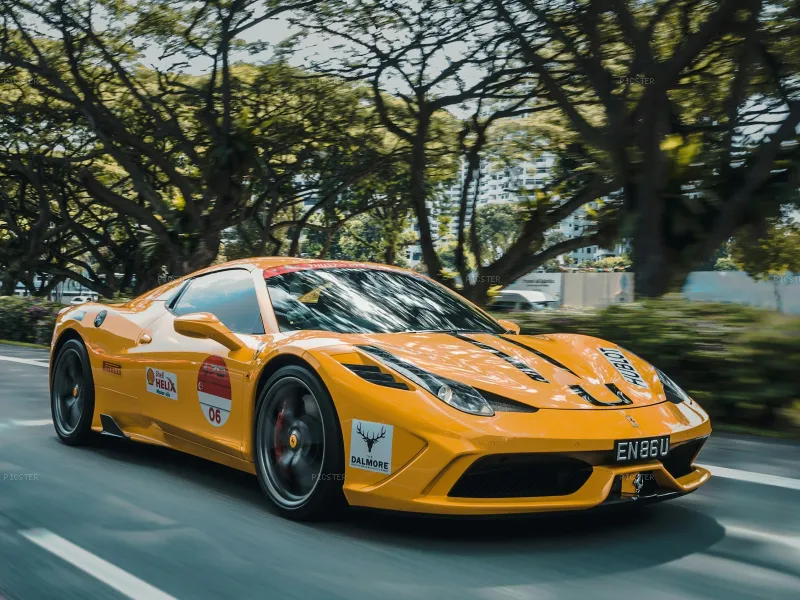 Giallo Tearing Through the Canopy
