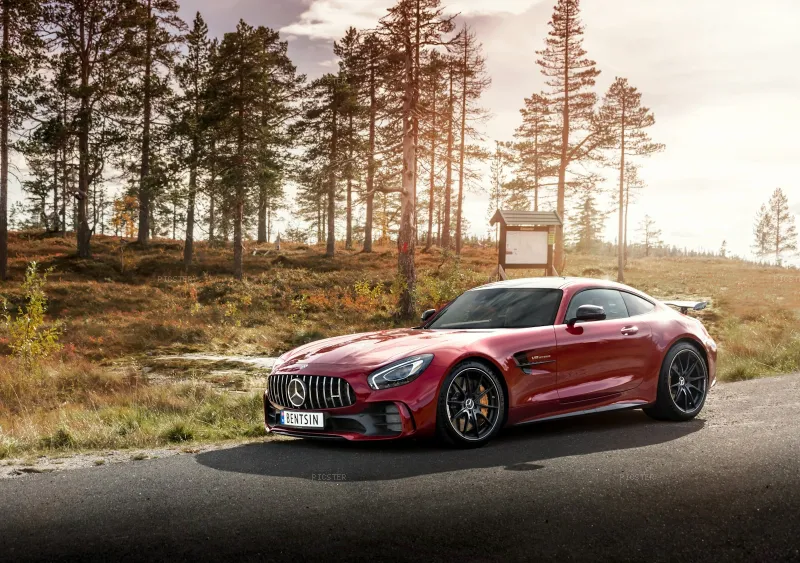 Crimson AMG Against Autumn Pines