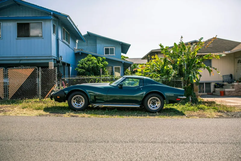 Dark Green Stingray, Blue House