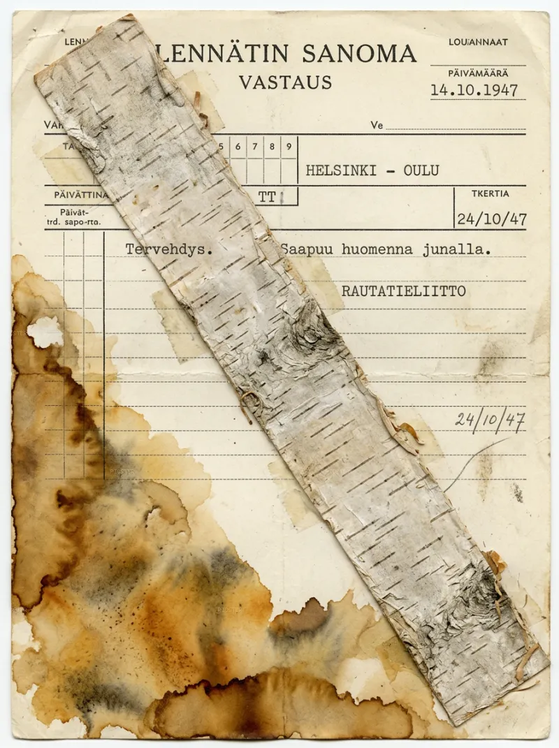 Birch Bark and Telegram Paper, March