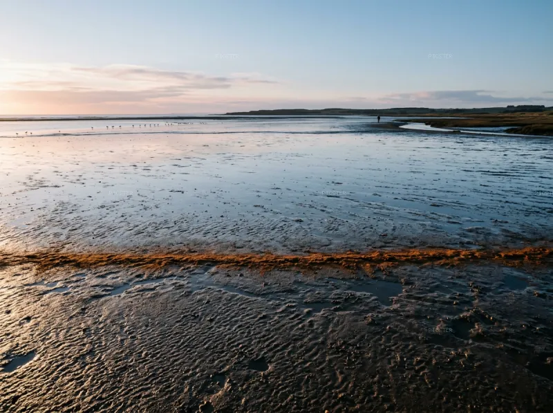 Tide Line, Low Water, February