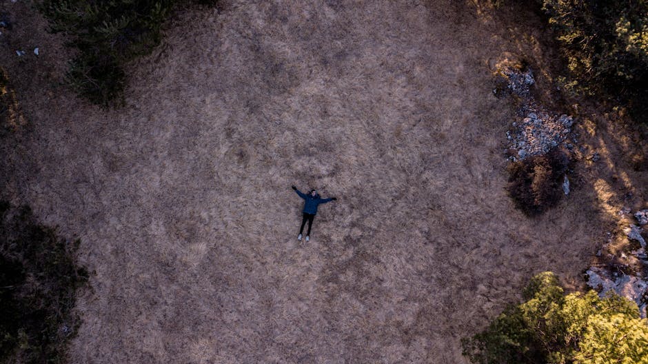 A person lies sprawled on a dry field surrounded by trees, creating a sense of solitude from above.