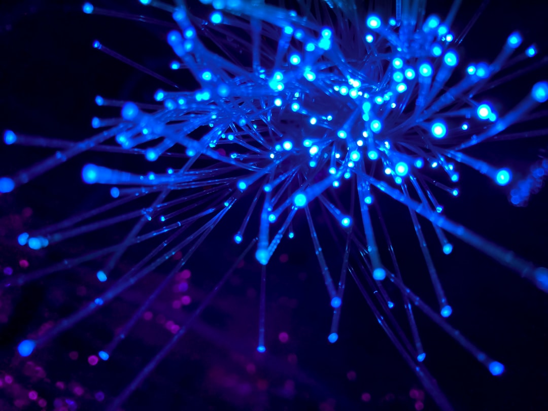 Purple and blue light digital wallpaper